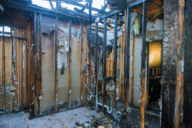 Professional Fire Damage Removal technician working in Westernport, MD